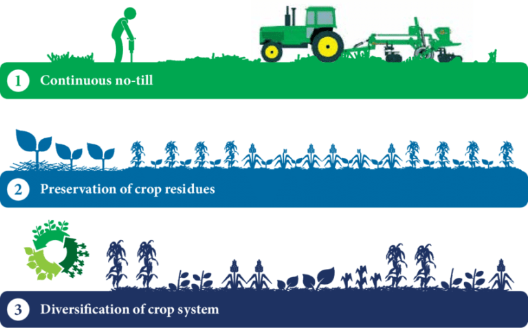 Conservation Agriculture: Practices That Protect the Environment ...